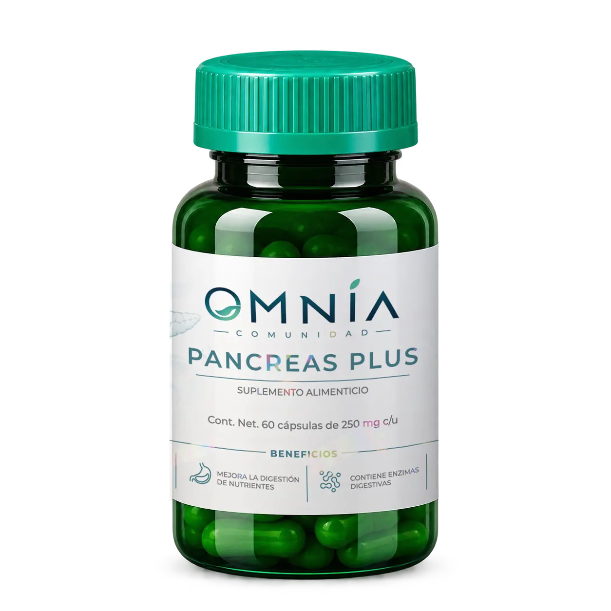 Producto Páncreas Plus